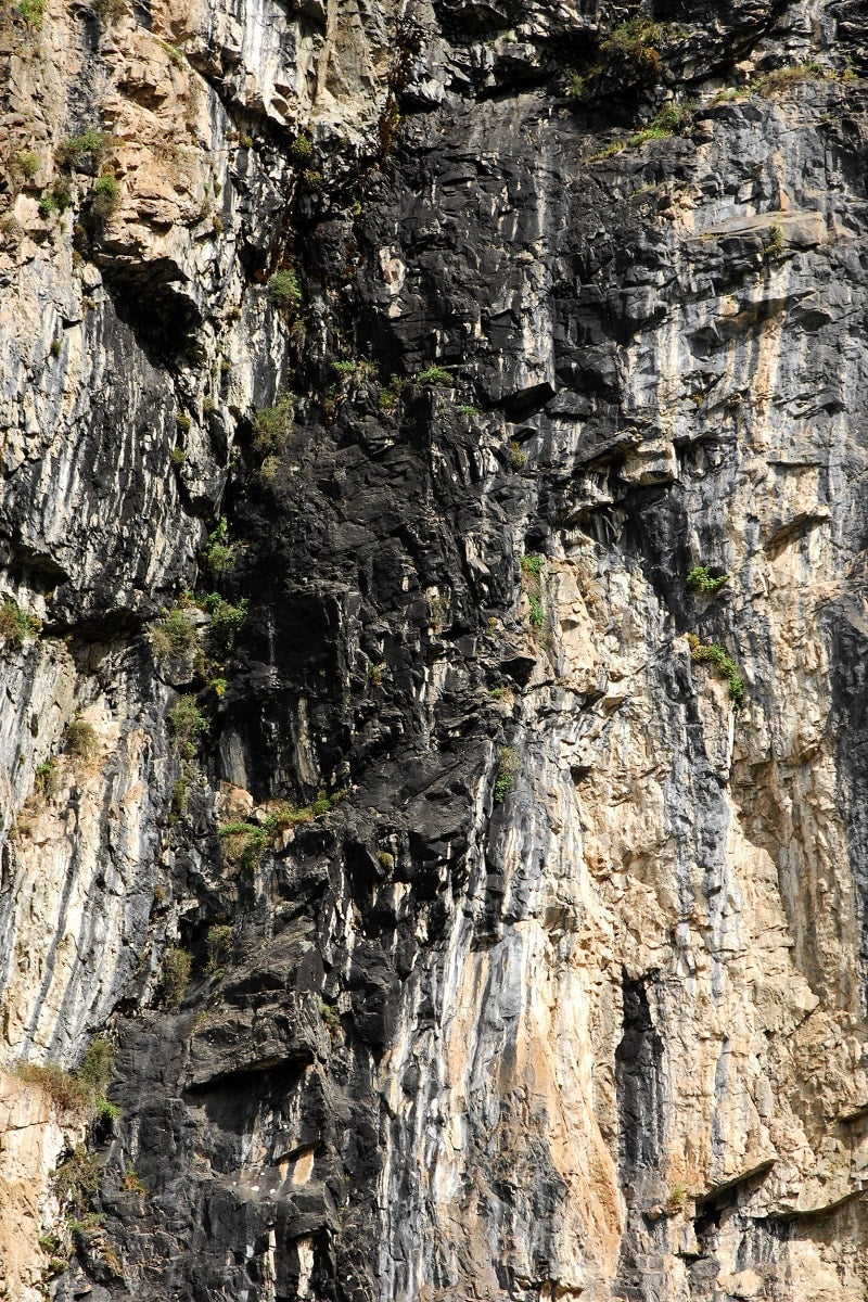 The Ultimate Guide to Shilajit: What It Is and 10 Transformative Benefits